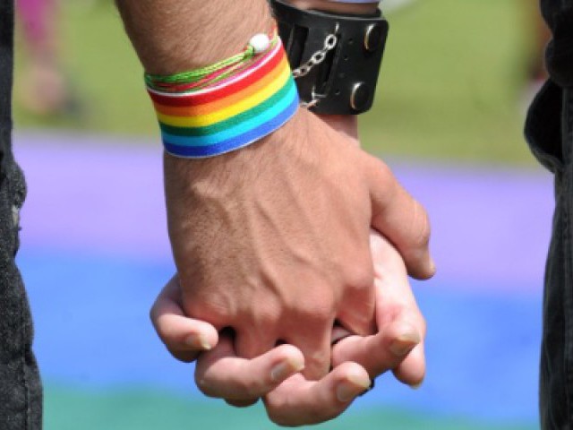diversidade, união sexual, homosexualismo, direito gay